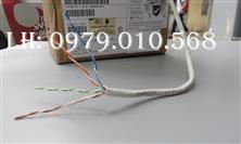 COMMSCOPE Cáp mạng AMP/COMMSCOPE CAT5E UTP 4 Pair (P/N: 6-219590-2) 6-219590-2