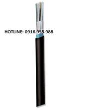 SACOM Cáp quang luồn cống, có lớp chống ẩm 36FO Sacom