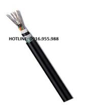 SACOM Cáp quang chôn trực tiếp kim loại 36fo Sacom